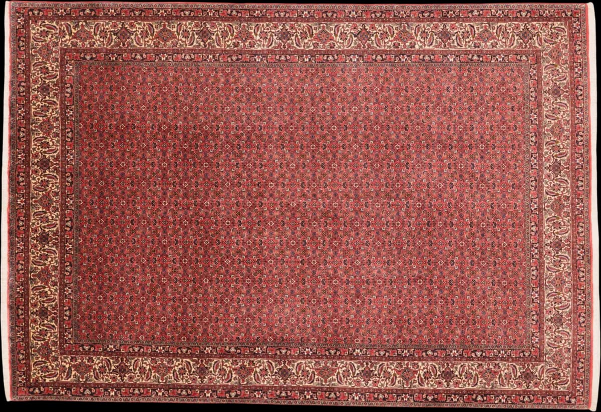 Bidjar — Bidjar, 296 × 205 cm | RUGSOCIETE