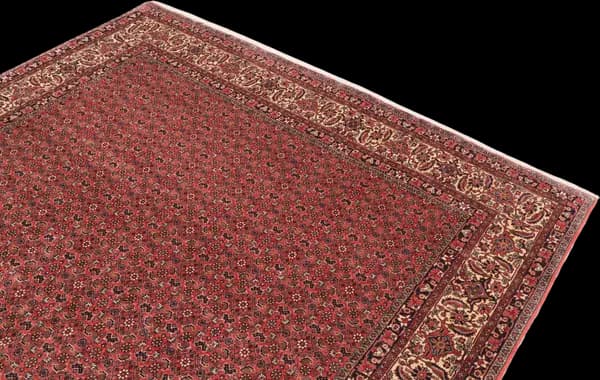 Bidjar — Bidjar — view 5 | RUGSOCIETE