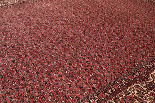 Bidjar — Bidjar — view 7 | RUGSOCIETE