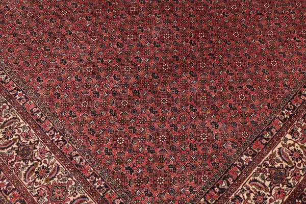 Bidjar — Bidjar — view 8 | RUGSOCIETE