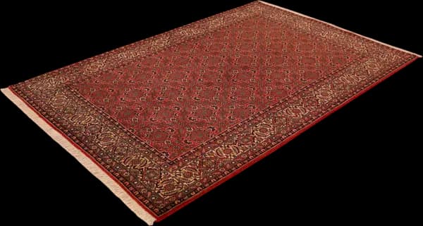 Bidjar — Bidjar — view 4 | RUGSOCIETE