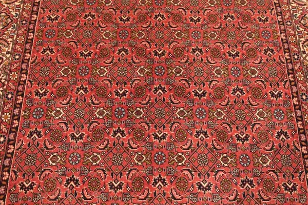 Bidjar — Bidjar — view 9 | RUGSOCIETE