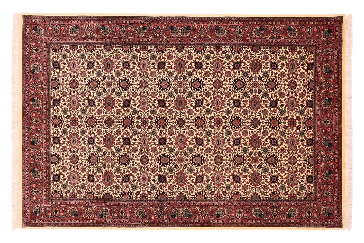 Bidjar — Bidjar exkl.W.S., 259 × 171 cm | RUGSOCIETE