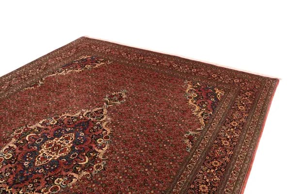 Bidjar — Bidjar exkl.W.S. — view 7 | RUGSOCIETE