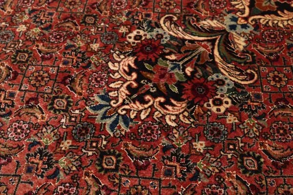 Bidjar — Bidjar exkl.W.S. — view 6 | RUGSOCIETE