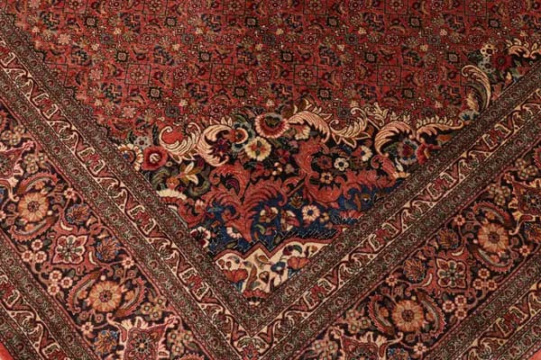 Bidjar — Bidjar exkl.W.S. — view 7 | RUGSOCIETE