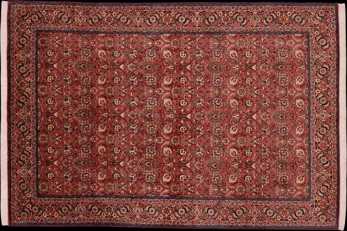 Bidjar — Bidjar exkl.W.S., 293 × 200 cm | RUGSOCIETE
