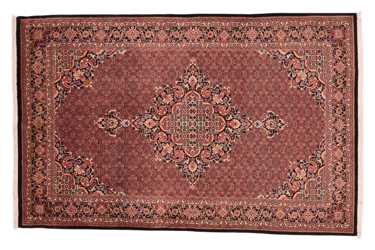 Bidjar — Bidjar W.S., 253 × 163 cm | RUGSOCIETE