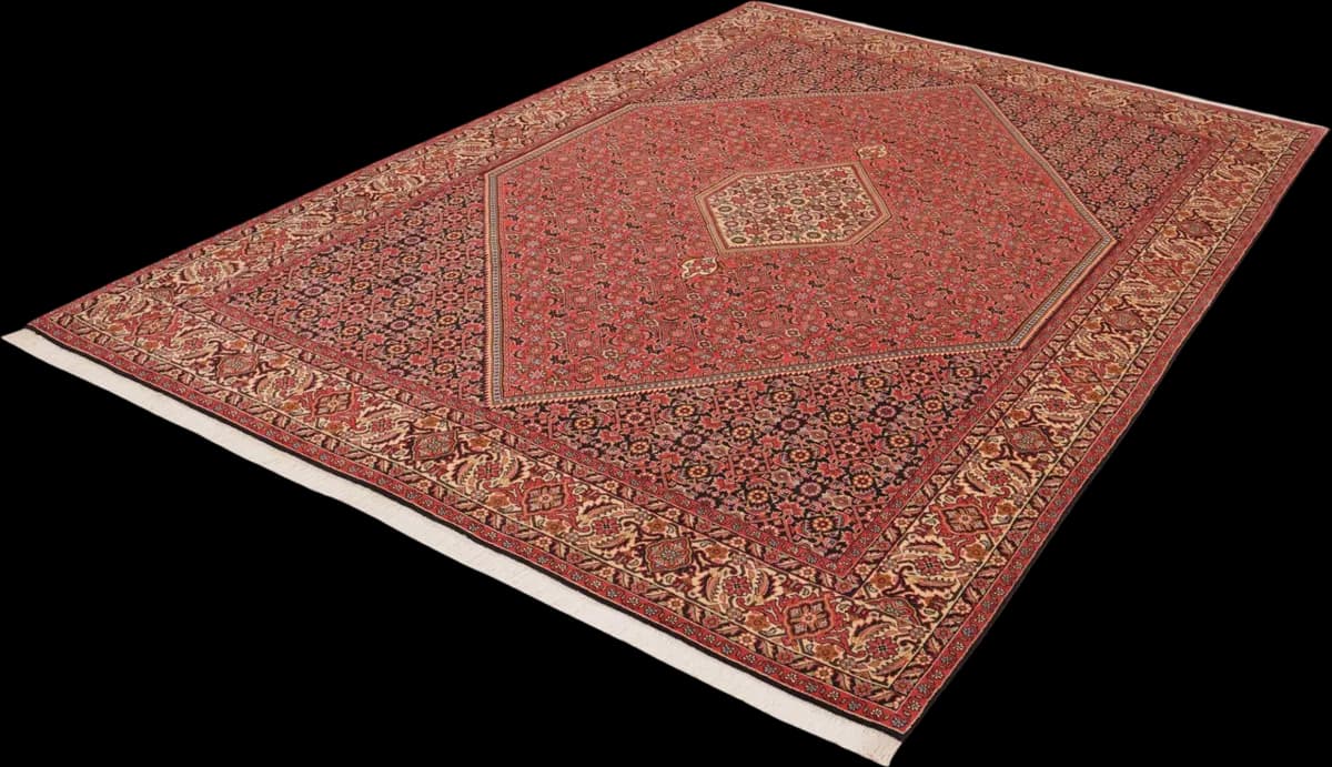 Bidjar — Bidjar, 295 × 200 cm — detail | RUGSOCIETE