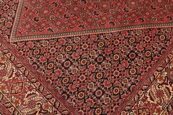 Bidjar — Bidjar — view 8 | RUGSOCIETE