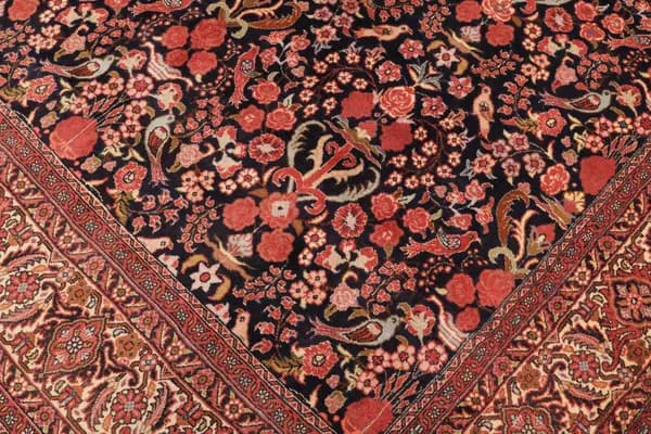 Bidjar — Bidjar — view 8 | RUGSOCIETE