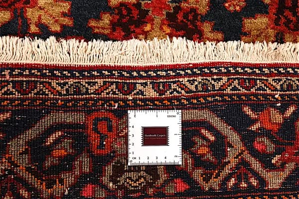 Bidjar — Garrous — view 11 | RUGSOCIETE