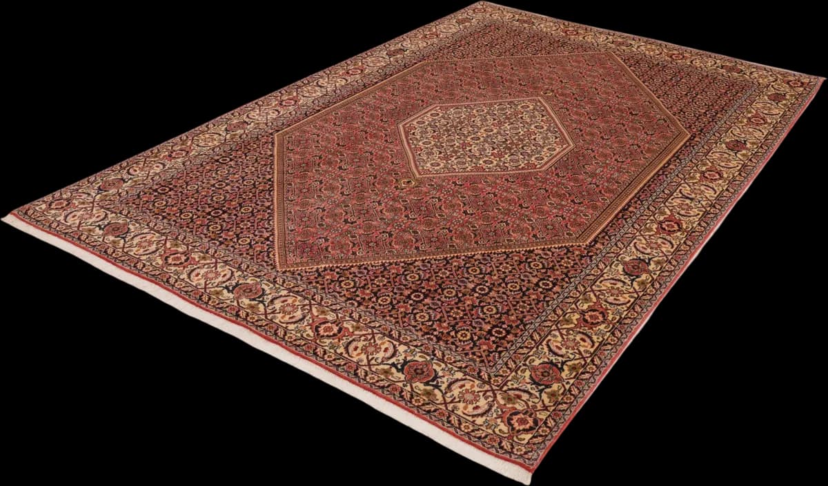 Bidjar — Bidjar, 305 × 196 cm — detail | RUGSOCIETE