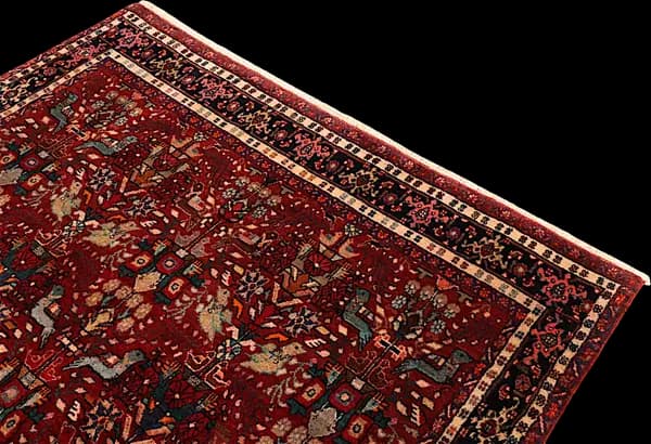 Bidjar — Garrous — view 6 | RUGSOCIETE