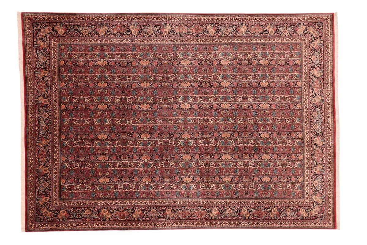 Bidjar — Bidjar, 351 × 245 cm | RUGSOCIETE