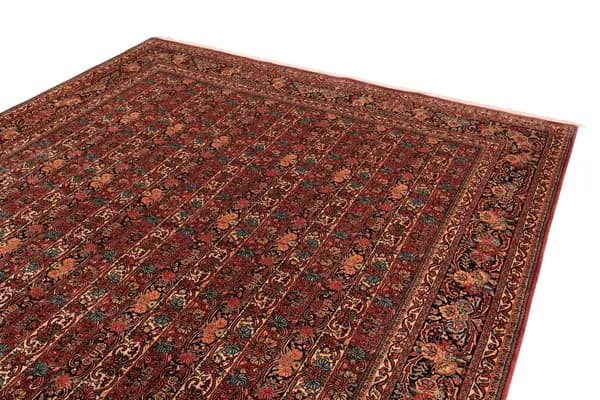 Bidjar — Bidjar — view 7 | RUGSOCIETE