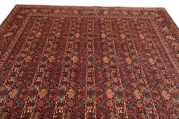 Bidjar — Bidjar — view 8 | RUGSOCIETE