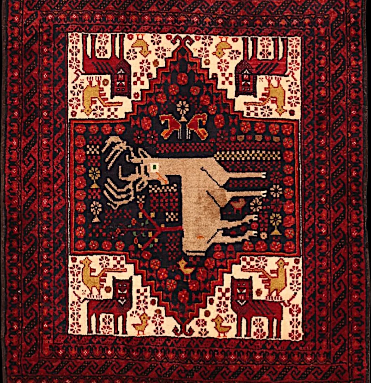 Belutsch — Belutsch, 84 × 74 cm | RUGSOCIETE