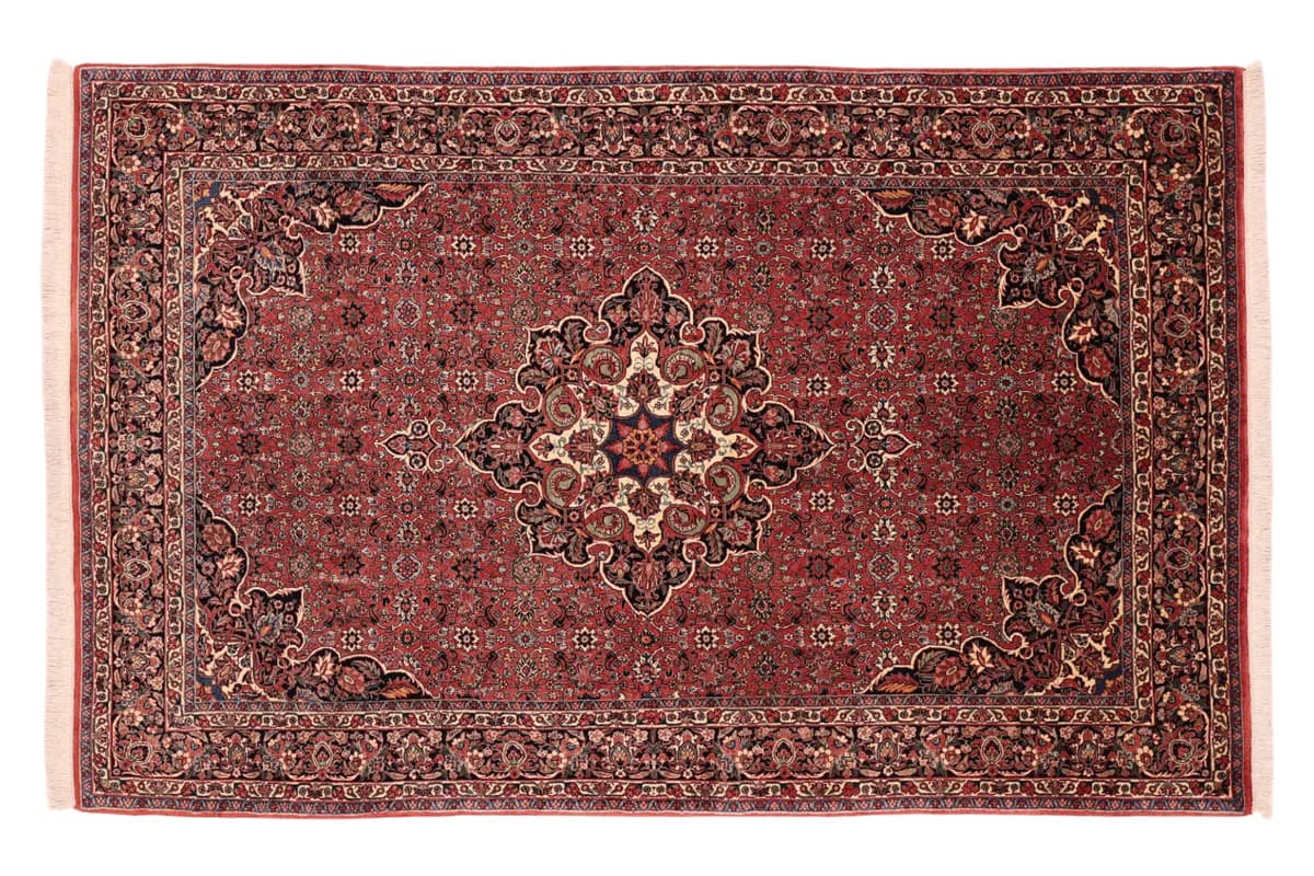 Bidjar — Bidjar exkl.W.S., 243 × 155 cm | RUGSOCIETE