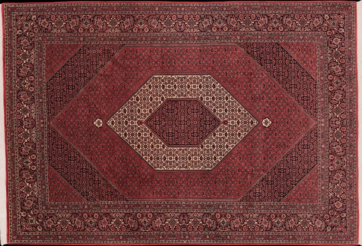 Bidjar — Bidjar exkl.W.S., 299 × 207 cm | RUGSOCIETE