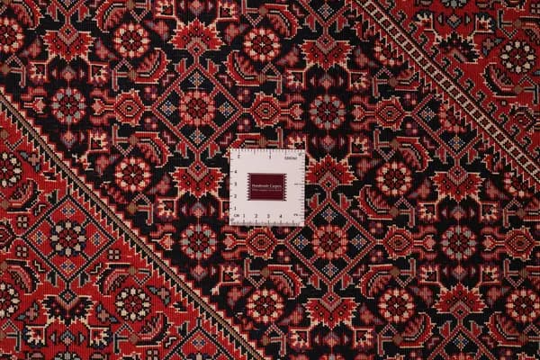 Bidjar — Bidjar exkl.W.S. — view 13 | RUGSOCIETE