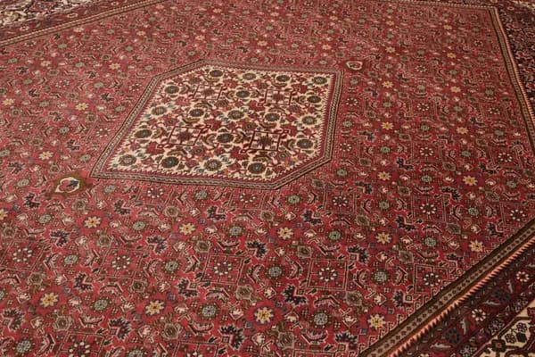 Bidjar — Bidjar — view 7 | RUGSOCIETE