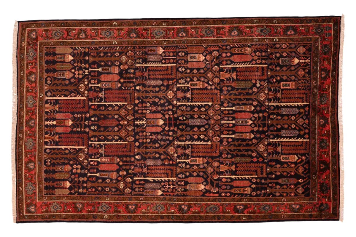 Kordi — Koliayie, 242 × 155 cm | RUGSOCIETE